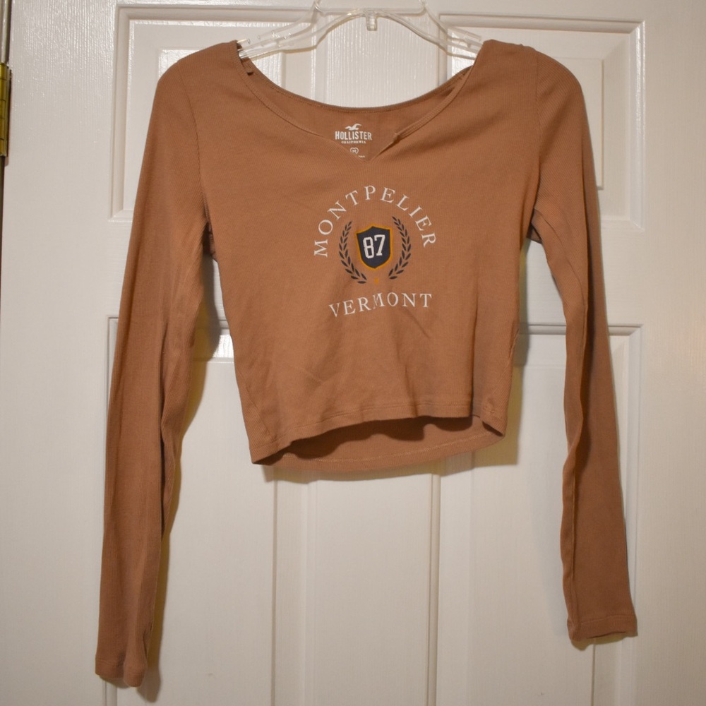 HOLLISTER Brown Graphic Longsleeve Cropped Tee